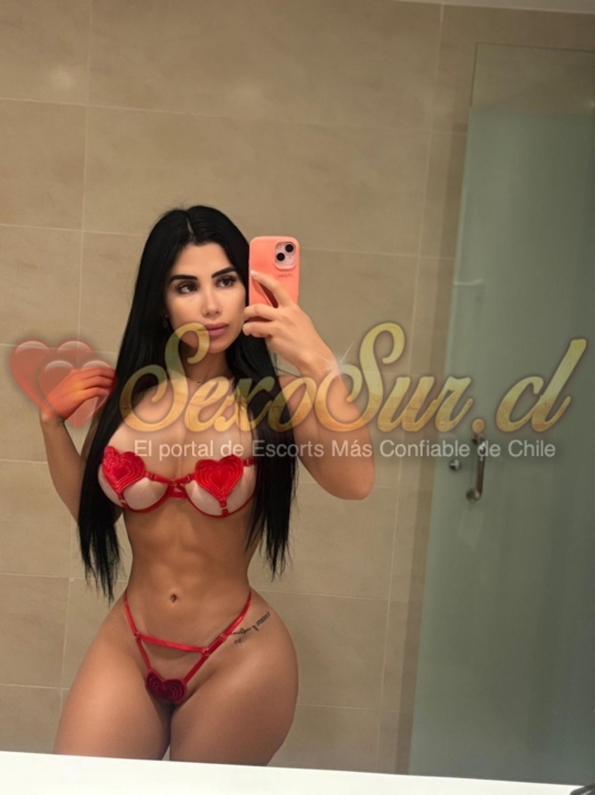 Galería de Paloma Chilena - Foto 4 en Santiago De Chile