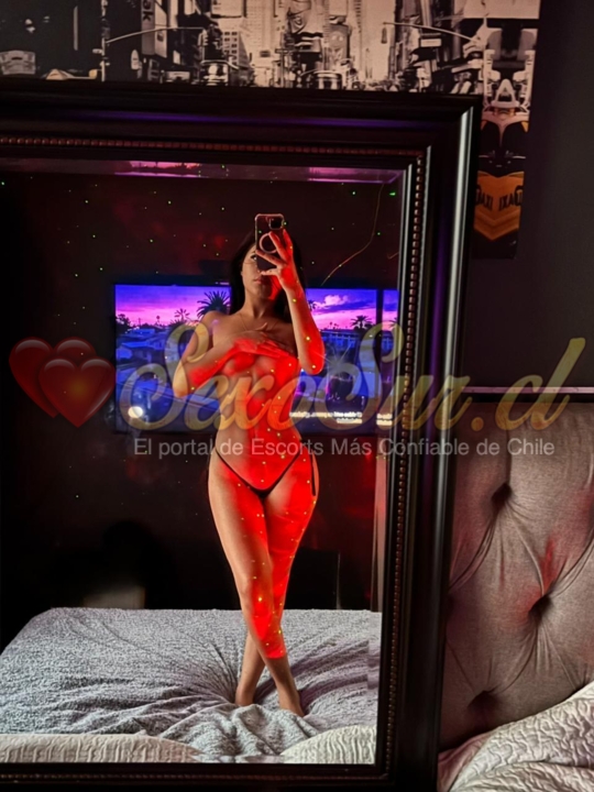 Galería de Sara - Foto 4 en Chillan