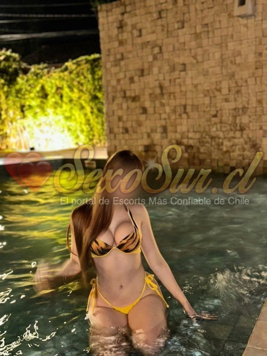 Galería de Lara - Foto 4 en Copiapo