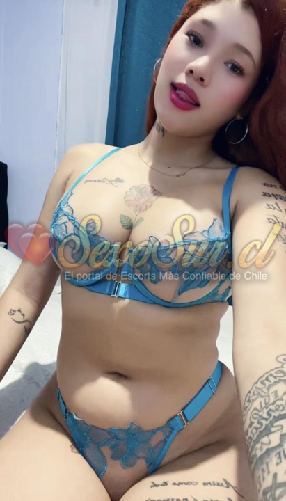 Galería de Dalia - Foto 17 en Copiapo