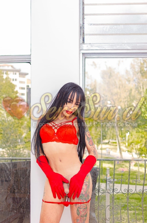 Escort Trans Isabella franco en Curicó