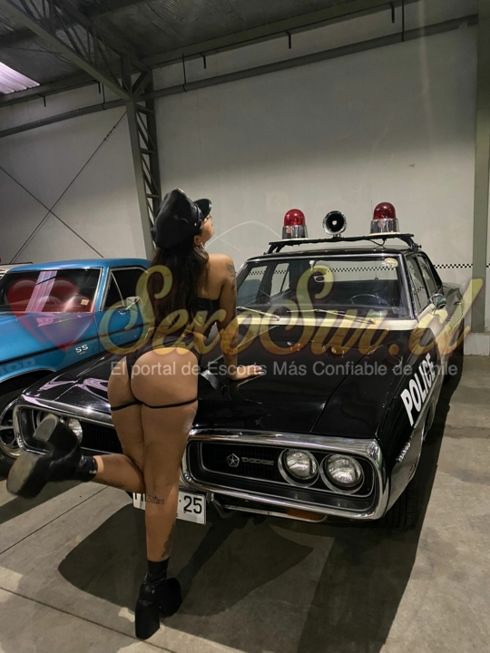 Galería de Ariana Chilena - Foto 6 en Osorno
