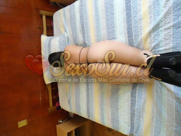 Galería de Alondra - Foto 10 en Puerto Montt