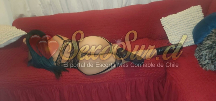 Galería de Samy - Foto 60 en Copiapo