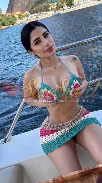 Galería de Paloma Chilena - Foto 7 en Santiago De Chile
