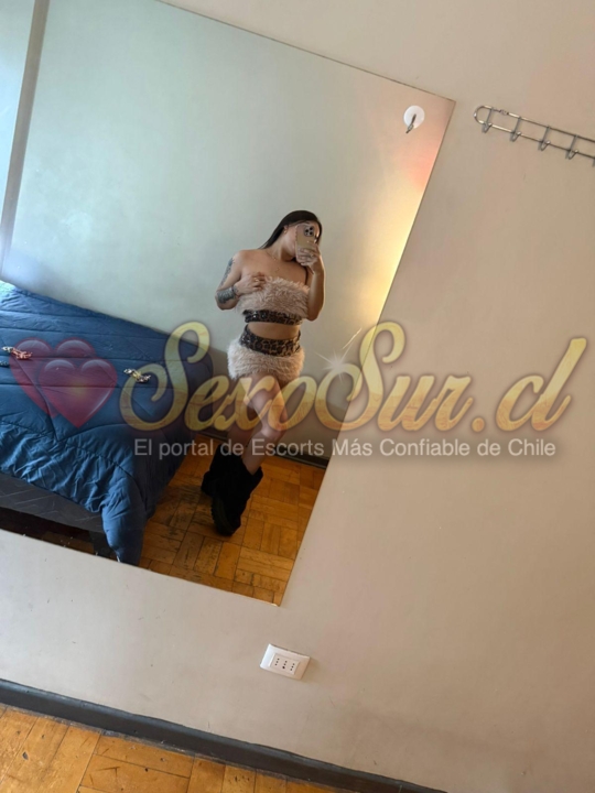 Galería de Cote - Foto 4 en Concepcion