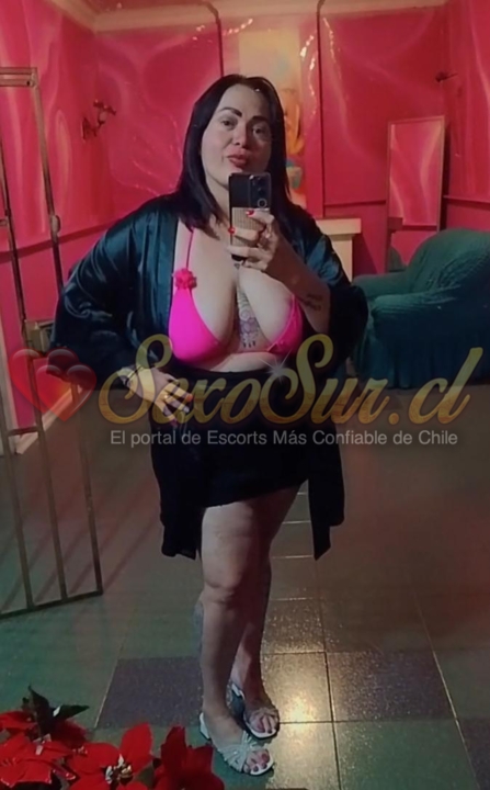 Galería de Zorrita Dana XL - Foto 12 en Chillan
