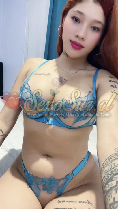 Galería de Dalia - Foto 16 en Copiapo