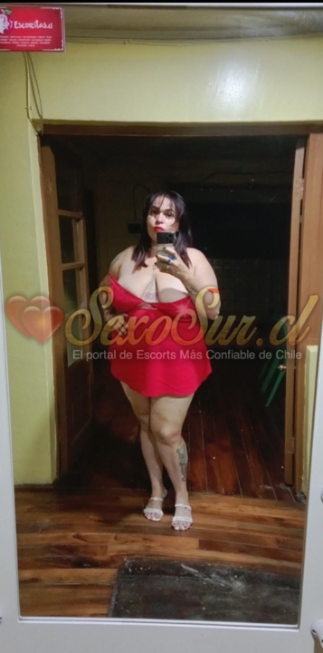 Galería de Zorrita Dana XL - Foto 25 en Chillan