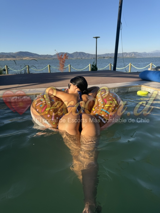 Galería de Sara - Foto 20 en Chillan