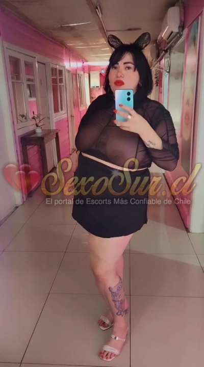 Galería de Zorrita Dana XL - Foto 3 en Chillan